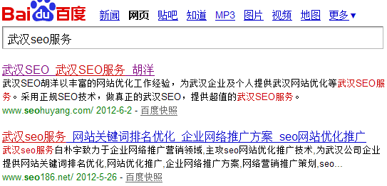 武汉seo服务