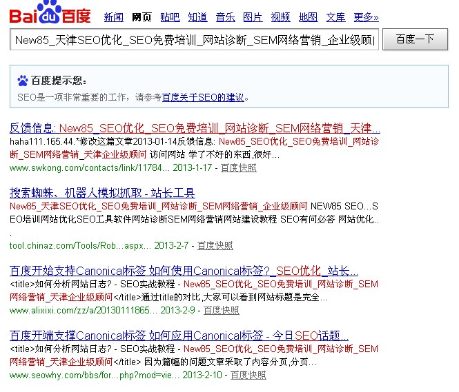 百度 new85 seo 网站标题