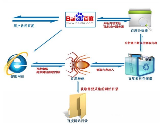 百度蜘蛛是如何收录一个网站的|搜索引擎工作全过程揭秘