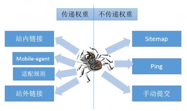 大拿分享：SEO的系统化策略