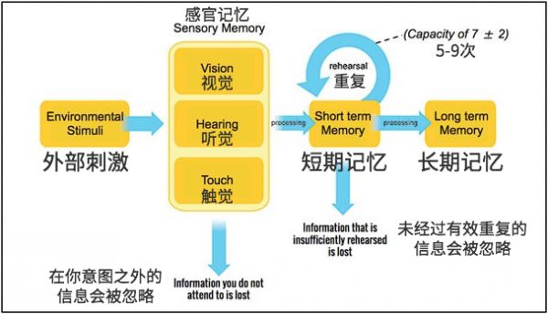 记忆的工作原理与设计诀窍