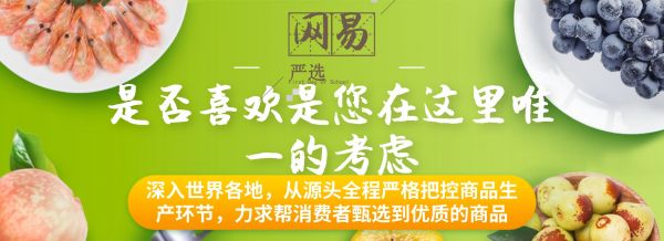 案例解析：网易严选公交地铁广告文案