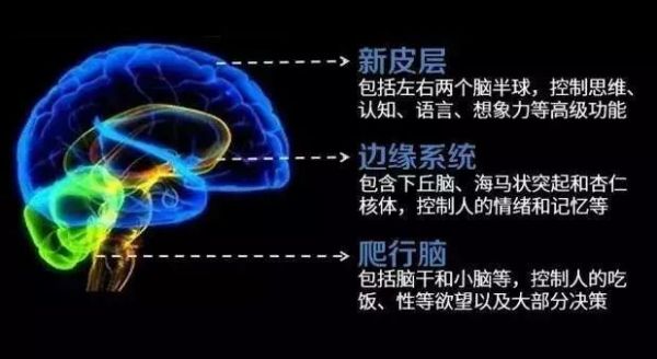 技巧 | 手把手教你提升营销和文案水平的有效方法