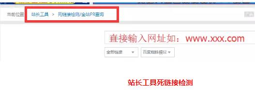 站长工具死链接检测