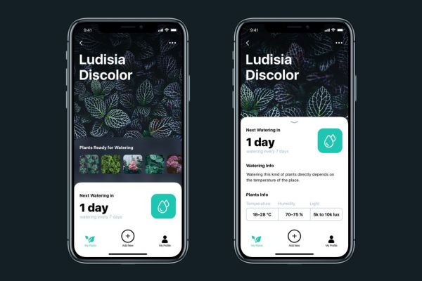 这款帮你科学养护绿植的APP是怎样设计出来的