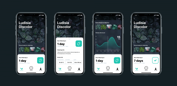 这款帮你科学养护绿植的APP是怎样设计出来的